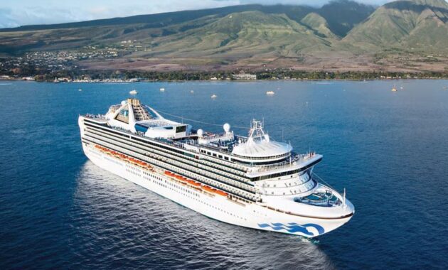 Cruises-to-Hawaii maui