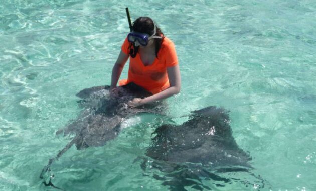 Feeding-the-Shark-Tahiti-Vacation-package-all-inclusive