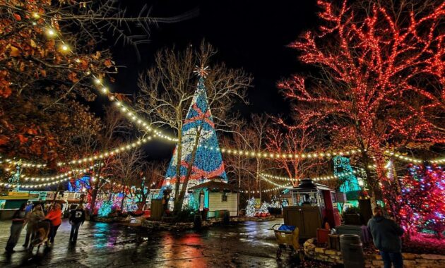 Christmas-Vacation-Ideas-For-Families-Branson-Missouri