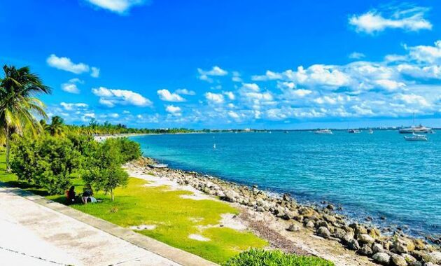 Things-To-Do-In-Downtown-Miami-Hobie-Island-Beach-Park 2