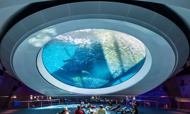 Things-To-Do-In-Downtown-Miami-You-Should-Know-History-of-Miami-Museum