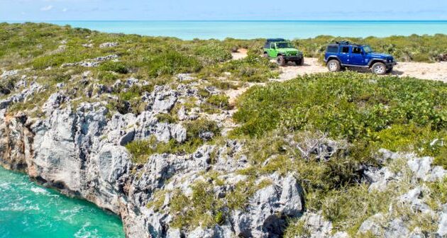 What-to-do-in-Turks-and-Caicos-Bird-Rock-Point-Heritage-Field-Road 2