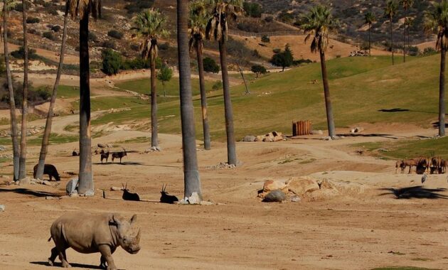 San Diego Wild Animal Park 2