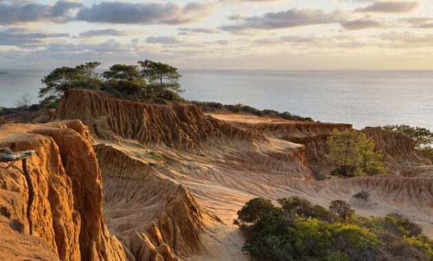 Torrey Pines State Reserve San Diego 2