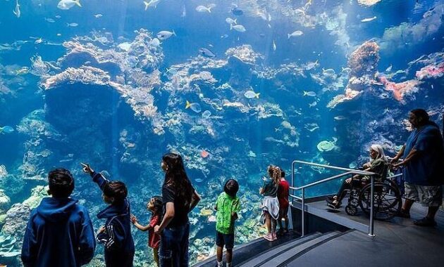 The Steinhart Aquarium - Science Museums in San Francisco