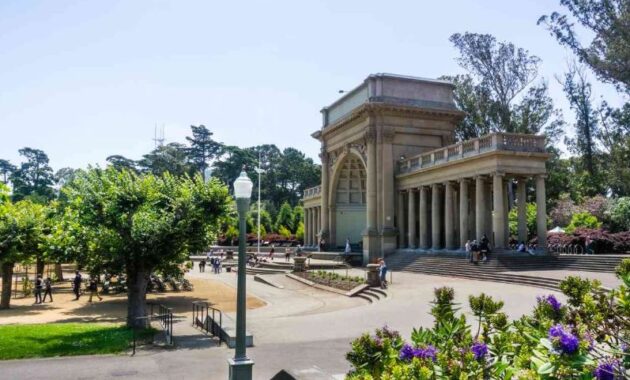 Whats On In San Fransisco - San Francisco Botanical Gardens 2