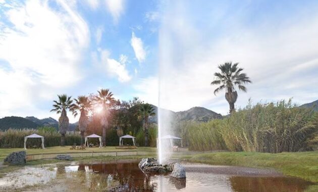 the Old Faithful Geyser of California - san francisco attractions
