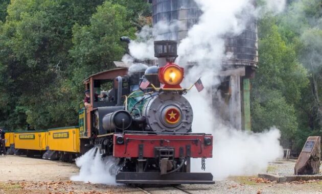 train in san francisco - Roaring Camp Railroads