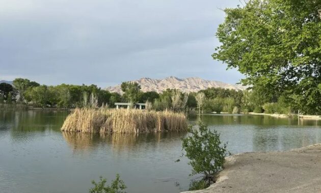 Las Vegas Natural Attractions - Floyd Lamb Park