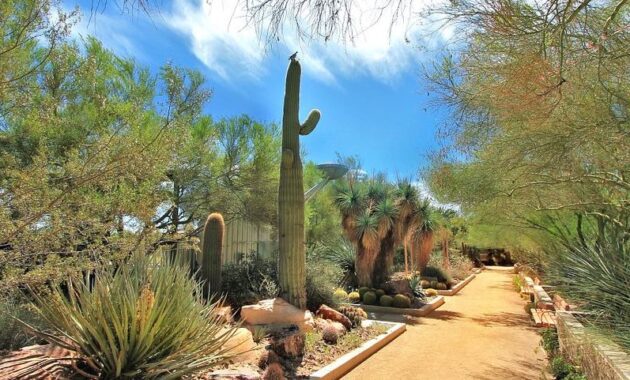Southern Nevada Zoological Botanical Park - Things To See In Las Vegas