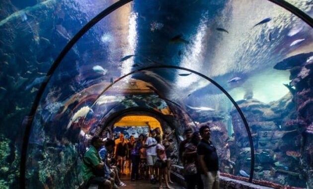 The Mirage - Aquarium Las Vegas