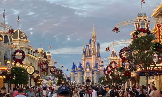 disney disability pass
