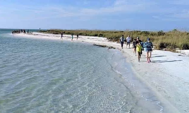 Shell Key Preserve st Pete Florida