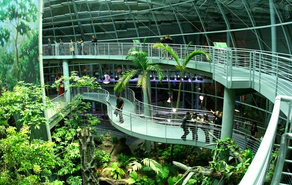 California Academy of Sciences