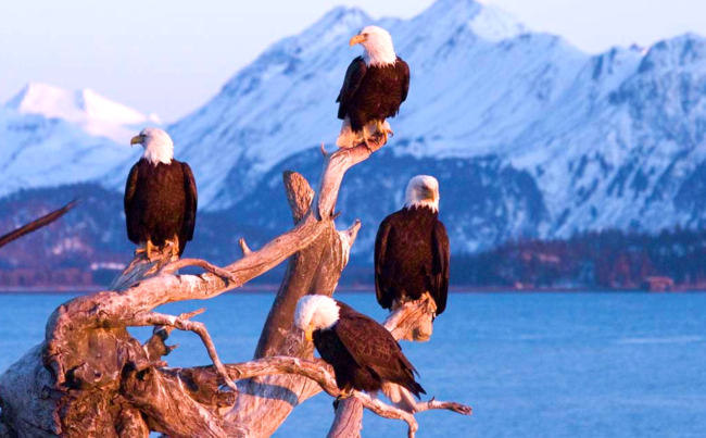 eagle beach alaska