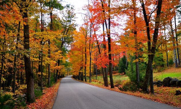 Autumn in New Hampshire