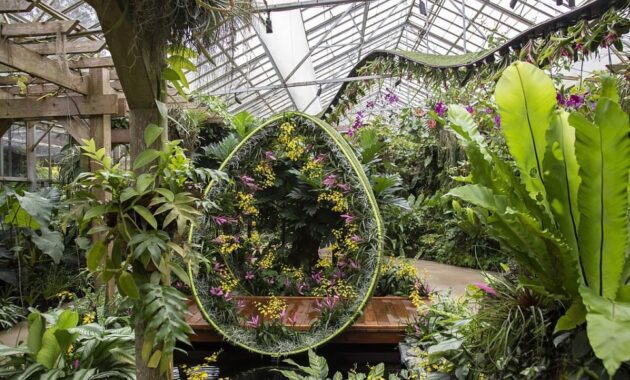 Marie Selby. Botanical Gardens