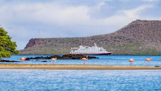 Adventure in the Galapagos Islands la Eco cruise