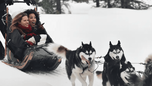 Dogsledding in Anchorage
