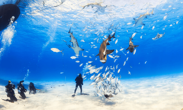 Escape from the Cold in the Bahamas