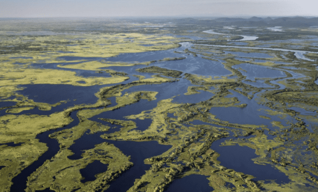 Pantanal, Mato Grosso, Brazil