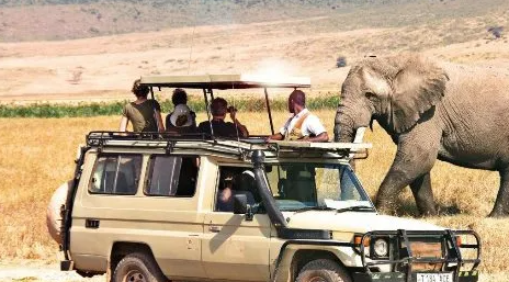Safari Adventure in East Africa