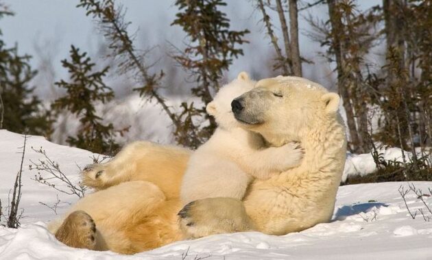 Churchill, Manitoba, Canada