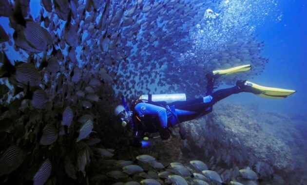Best Places to Scuba Dive - Bajo Alcyone, Cocos Island, Costa Rica