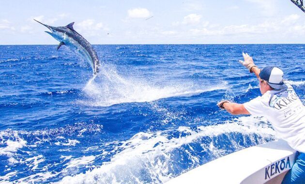 Cairns, Australia Fishing