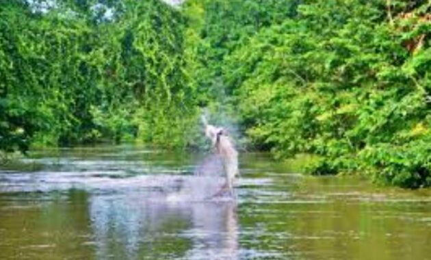 Fishingspots - Colorado River, Costa Rica