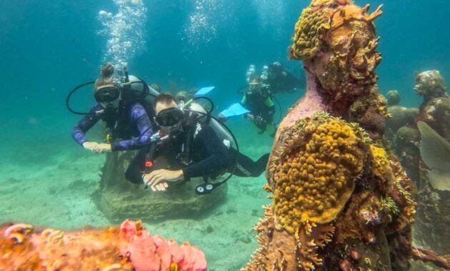 Manchones Reef, Cancun, Mexico - Best Places to Scuba Dive