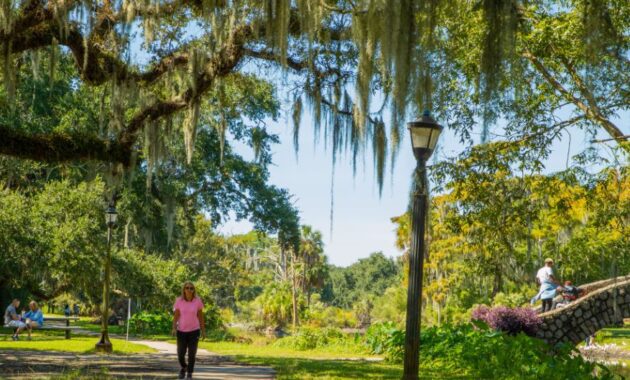 Visit City Park at New Orleans in March