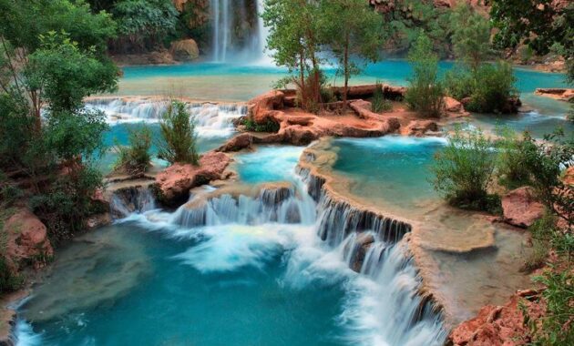 Phoenix Arizona Desert Oasis