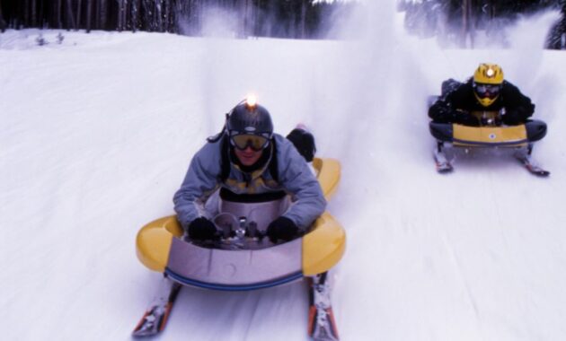 Sledding Thrills in winter