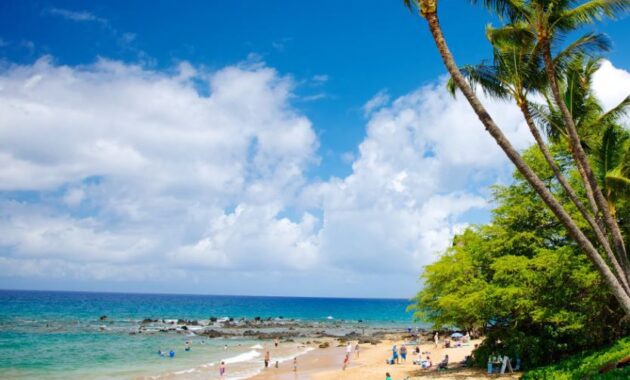 Beaches in Maui Hawaii - Wailea Beach