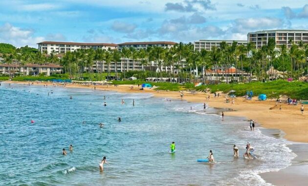 Cool Beaches in Maui - Wailea Beach