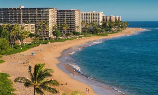 Kaanapali Beach A Paradise of Golden Sands