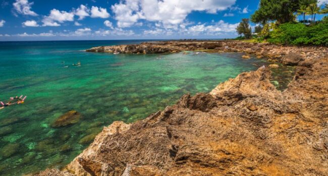 Shark's Cove