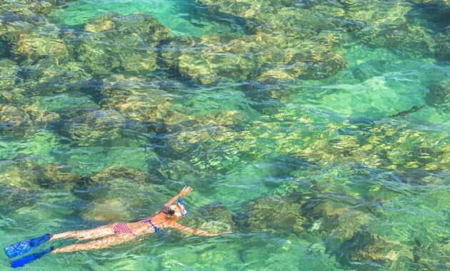 Things to Do on the Main Island Hawaii - Snorkel at Hanauma Bay