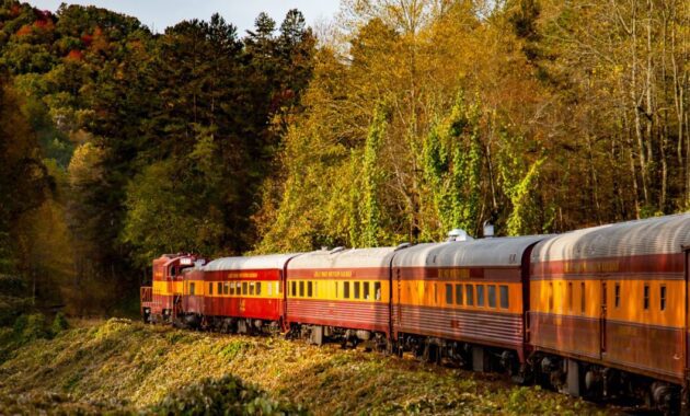 Great Smoky Mountains Railroad North Carolina