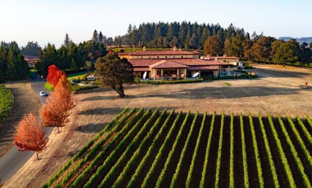 Vineyards in Willamette Valley - Top wine regions USA