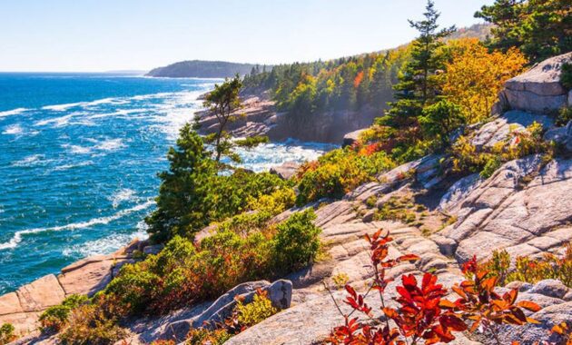 Acadia National Park, Maine - best bird watching spots USA