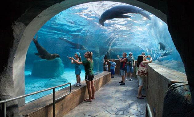 Saint Louis Zoo – St. Louis, Missouri - best zoos aquariums USA