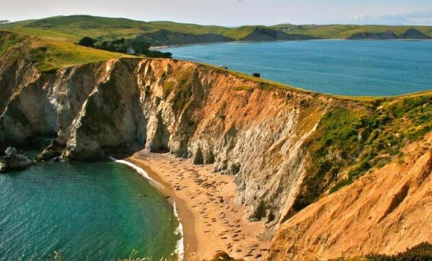 best bird watching spots USA - Point Reyes National Seashore, California