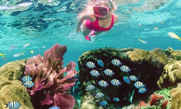 Florida Keys, Florida - best scuba diving spots USA
