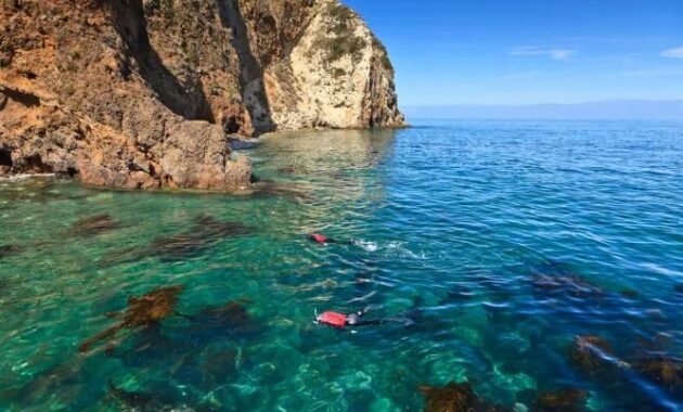 best scuba diving spots USA - Channel Islands California