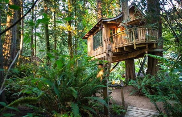 Tree House Point – Issaquah, Washington