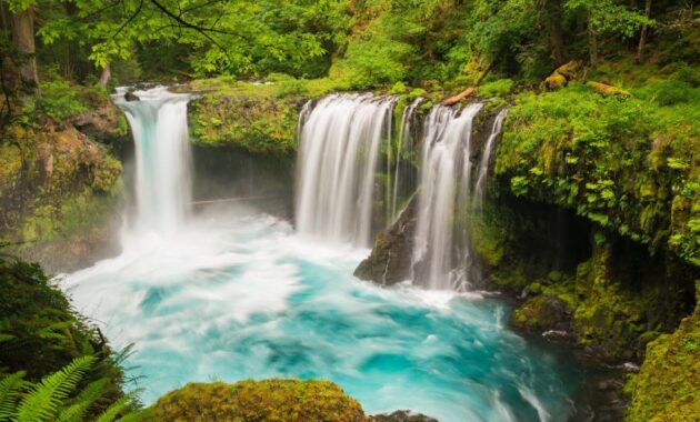 Washington’s Hidden Waterfalls - Pacific Northwest hidden gems