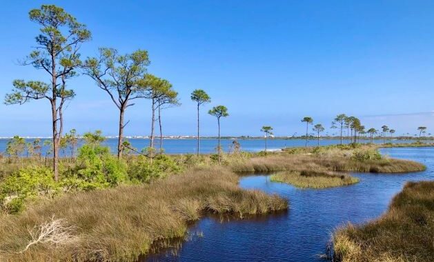 Bon Secour National Wildlife Refuge - Gulf Shores peaceful beaches