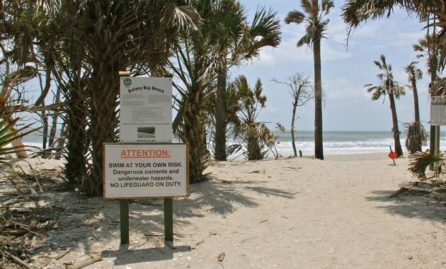 Botany Bay Plantation Heritage Preserve - Carolina secret beach spots